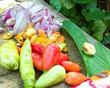 Foto langkah ke 1 dari resep Tumis kangkung terasi.