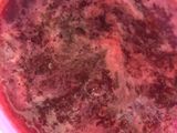 Mermelada de fresa casera