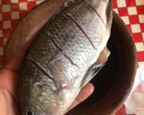 Foto del paso 4 de la receta: Caldo con hoja de pescado