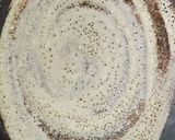 રવા પેપર ઢોંસા (Rava Paper Dosa Recipe In Gujarati) રેસીપી સ્ટેપ5ફોટો