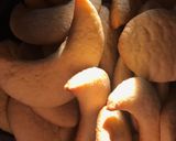 Foto del paso 5 de la receta: Galletitas con fécula de maíz (Maizena) 🍪
