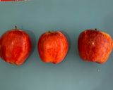Foto del paso 2 de la receta: Pectina casera de manzanas para espesar mermeladas, y compota de yapa