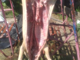 Lechón al horno para Navidad