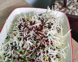 Foto langkah ke 4 dari resep Pisang Gencet 🍌🍫.