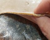 Foto del paso 3 de la receta: Tallarines sin gluten, de harina de lentejas