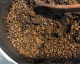 Foto del paso 4 de la receta: Pasta de lentejas de campo