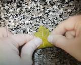 Grape Leaves Dolma 2 recipe step 4 photo