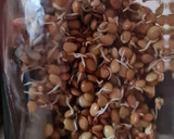Foto del paso 4 de la receta: Brotes de lentejas al limón 🌱🍋 Germinado de lentejas alimonadas 🌱 🍋