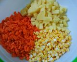 Foto langkah ke 1 dari resep Crackers Isi Ragout (Saltcheese Gabin).