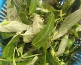 Foto langkah ke 1 dari resep Kangkung Tumis Terasi Saos Tiram.
