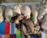 รูปขั้นตอนการทำที่ 1 ของ ข้าวมันไก่
