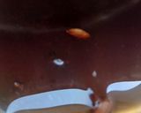A picture of step 3 of Kokum Coconut Kadhi.