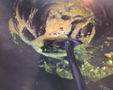 鳳梨鹹蛋鱈魚排的食譜步驟4照片