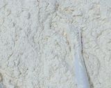 Foto langkah ke 1 dari resep Sourdough Shokupan.