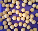 Foto langkah ke 2 dari resep Candil Ubi Kuning #43.