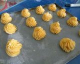 Foto langkah ke 7 dari resep Kue soes fla custard.