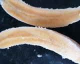 Foto del paso 2 de la receta: Batido de plátano🍌