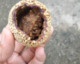 Foto langkah ke 10 dari resep Onde Onde.