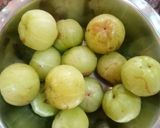 આમળાનું જ્યુસ(Amla juice recipe in Gujarati) રેસીપી સ્ટેપ1ફોટો