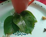 A picture of step 2 of Giloy kadha (guduchi immunity booster) juice 💚🍵.
