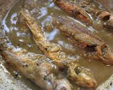 A picture of step 5 of Green Fish.
