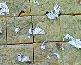 লউকি বরফি(Lauki Barfi recipe in bengali) রেসিপির ধাপ 7 ছবি