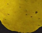 A picture of step 2 of Masala bhakari (Bran flour).