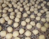 Foto del paso 3 de la receta: Ñoquis de harina rellenos de mozzarella