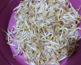 Foto langkah ke 1 dari resep Tumis touge.