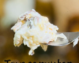Foto del paso 4 de la receta: Ensaladilla de puchero 🥕 🥔 🥕