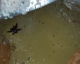 A picture of step 3 of Hyderabadi Qubooli.