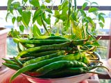 मिरचीचे लोणचे (mirchi che lonche recipe in marathi)