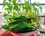 मिरचीचे लोणचे (mirchi che lonche recipe in marathi) रेसिपी स्टेप 1 फोटो 