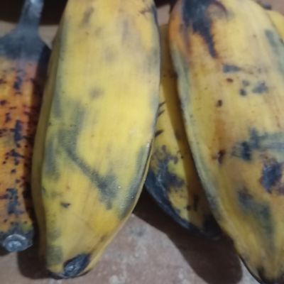 Langkah 1