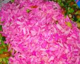 A picture of step 5 of Rainbow fried rice.