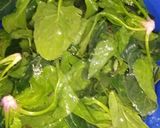 Φωτογραφία βήματος 1 της συνταγής Σπανακόπιτα 💚 (νηστίσιμη)
