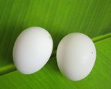 பெப்பர் பிரட் ஆம்லெட் ரெசிபி ஸ்டேப் 1 புகைப்படம்