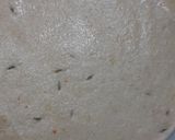 A picture of step 2 of Masala Puri.
