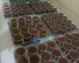Foto langkah ke 4 dari resep Pudding coklat Snack Box.
