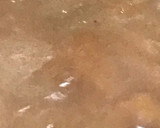 Foto del paso 6 de la receta: Mermelada de caquis de mi arbolito