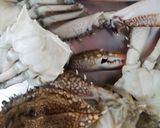 Gambar langkah 2 resipi Ketam Katok Serai.
