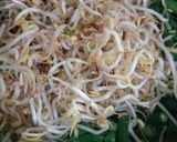 Foto langkah ke 1 dari resep Urap Kacang Panjang & Taoge.