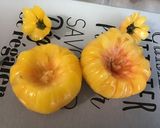 Une image de l'étape 1 de Tomates géantes farcies sur lit de porc aux légumes.