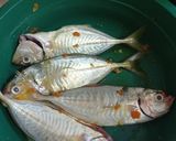 Foto langkah ke 1 dari resep Ikan selar goreng simple.