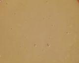 A picture of step 2 of Cinnabon with raisins.