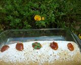 Foto del paso 13 de la receta: Jelly roll de crema de limón