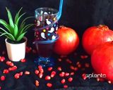 A picture of step 4 of Pomegranate & Grapes juice 🍒🍇.