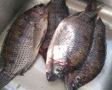 Foto del paso 1 de la receta: Mojarras Fritas