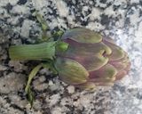 Foto del paso 1 de la receta: Alcauciles en su Caldo