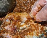 Foto langkah ke 3 dari resep Ikan Kere Basah.